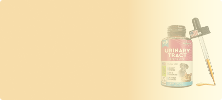 Onlihub