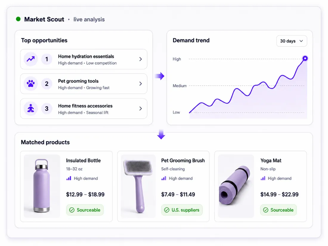 Market Scout report with demand, competition, and matching Doba products